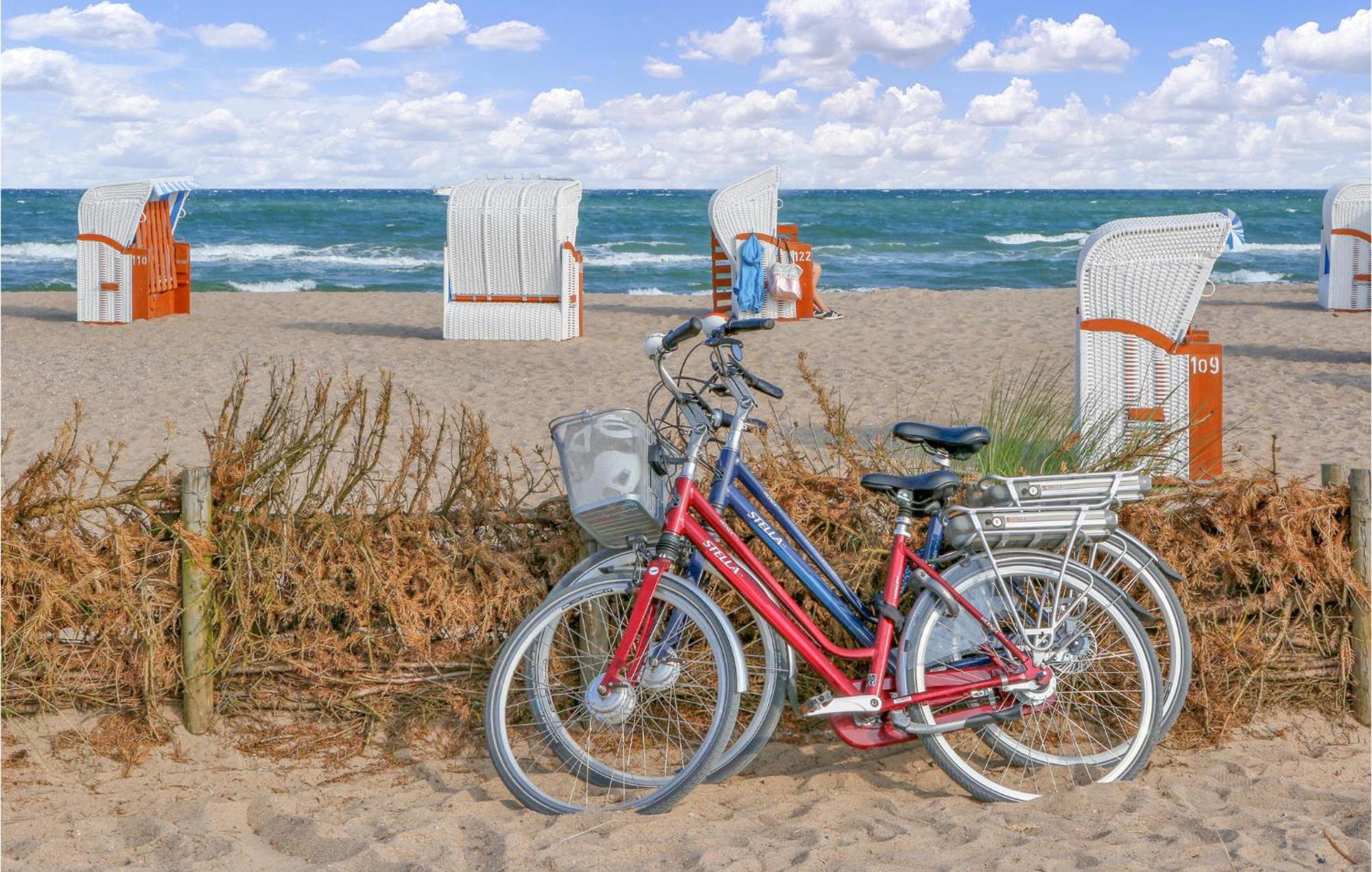 Vitamin Sea 奥尔本尼兹 外观 照片